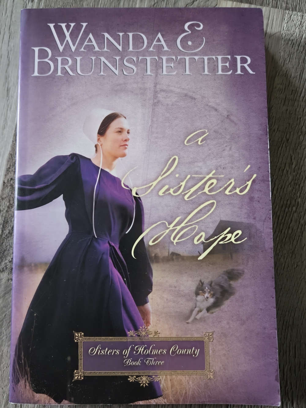 Wanda E Brunstetter Amish Fiction Book Lot Sisters of Holmes County Series 4pc - Picture 4 of 16